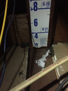 Insulation Scam Provided by a PSO Service Provider